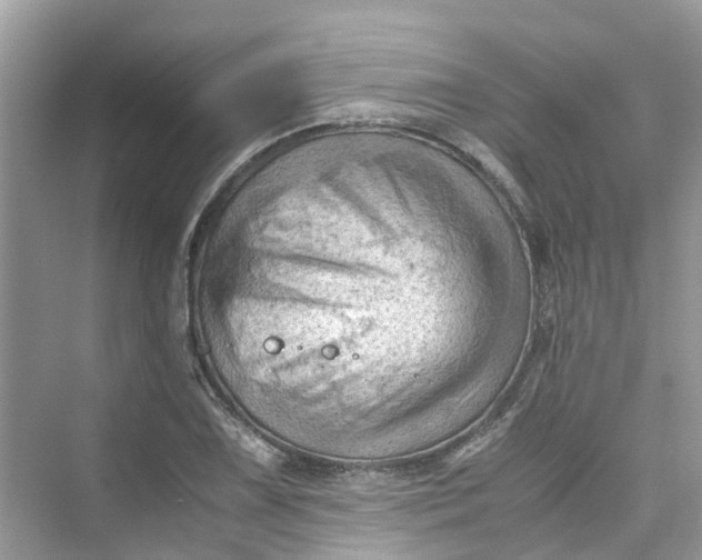 X0000075821075200609291405