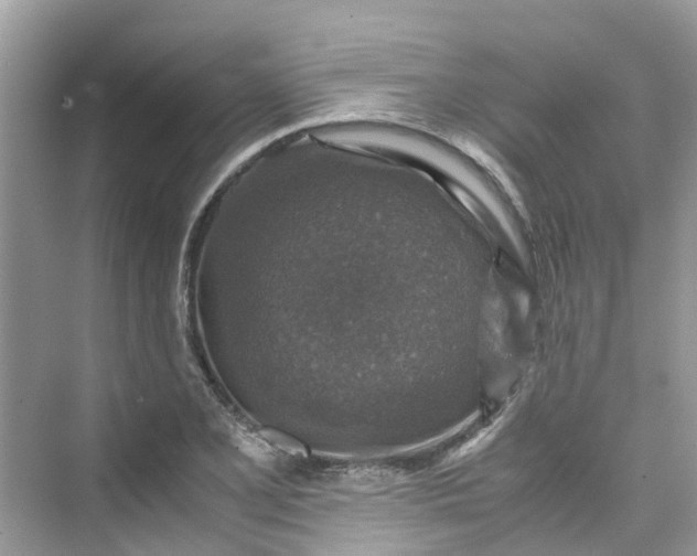 X0000075821077200609291405