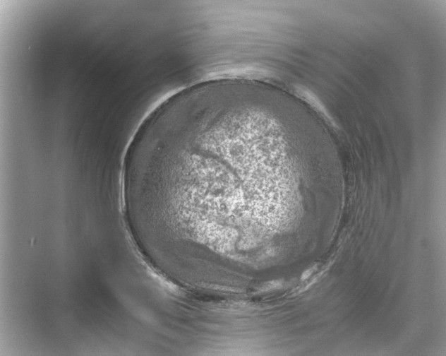 X0000075821079200609291405