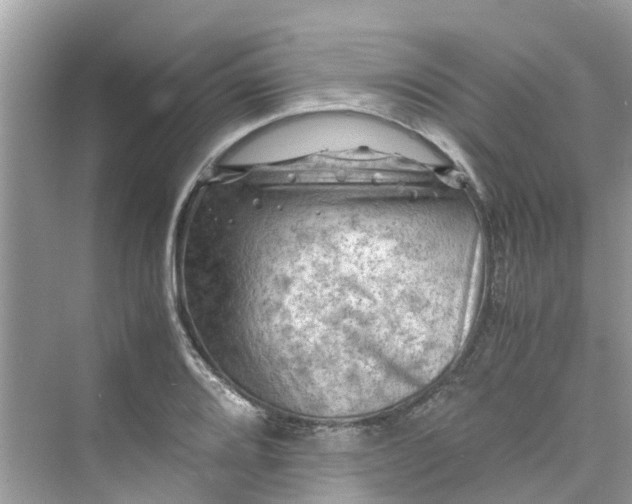 X0000075821080200609291405