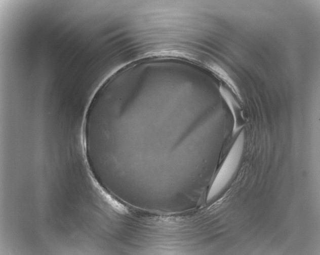 X0000075821084200609291405