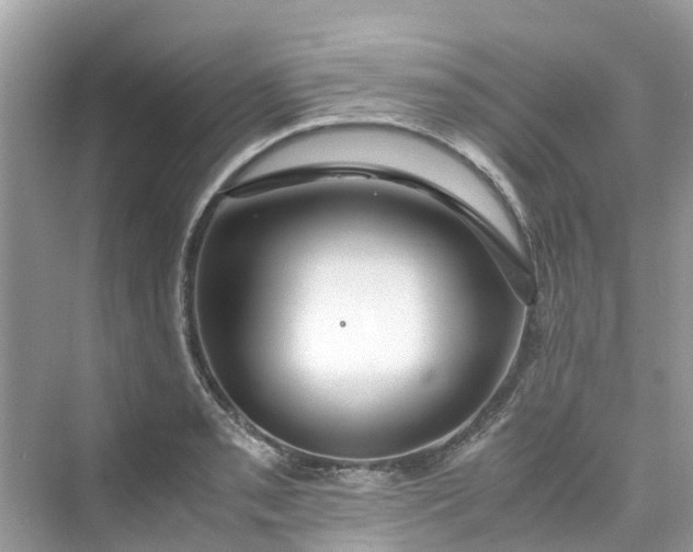 X0000075821085200609291405