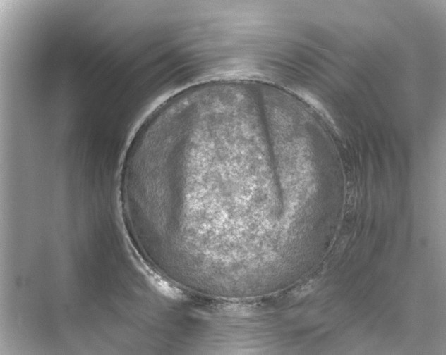 X0000075821086200609291405