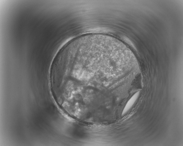 X0000075821087200609291405