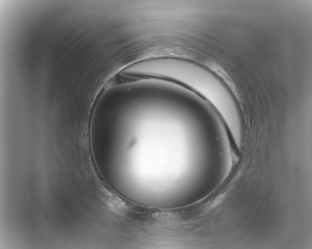 X0000075821089200609291405