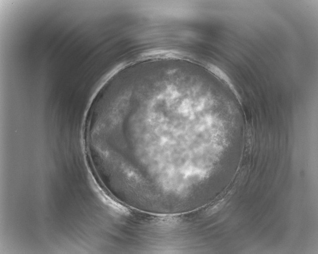 X0000075821090200609291404