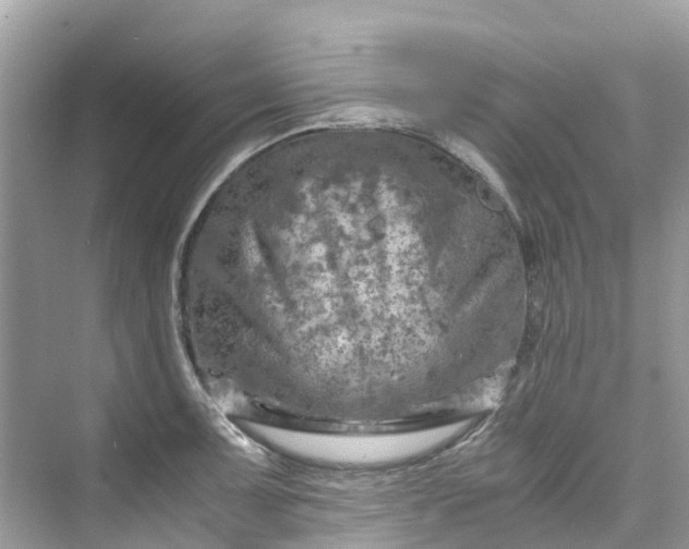 X0000075821091200609291404