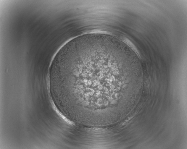 X0000075821092200609291404