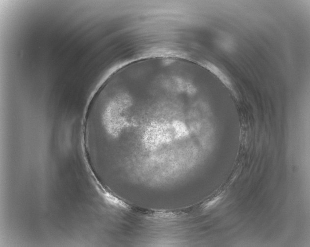 X0000075821094200609291404