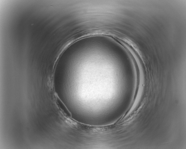 X0000075821097200609291404