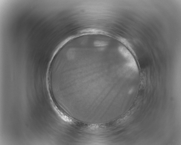 X0000075821098200609291404