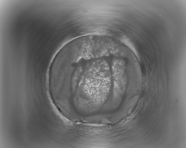 X0000075821099200609291404