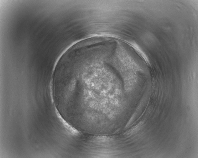 X0000075821100200609291404