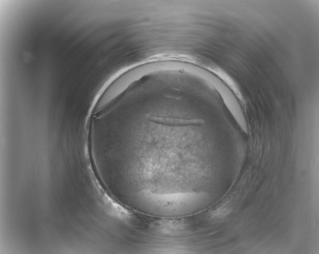 X0000075821102200609291404