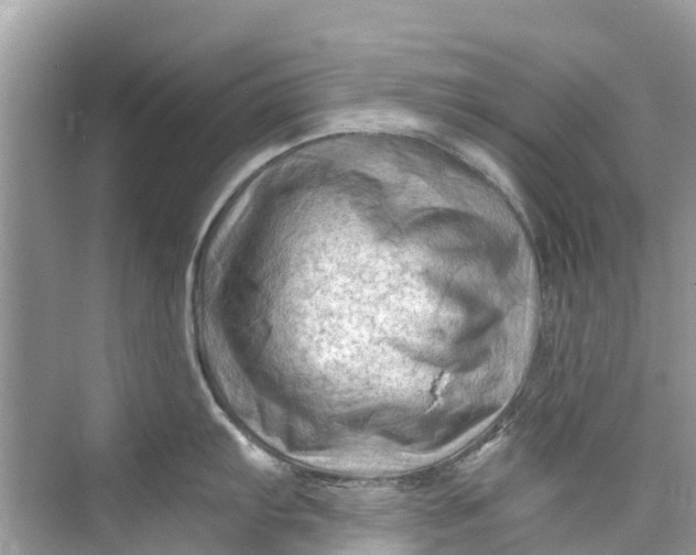 X0000075821103200609291404