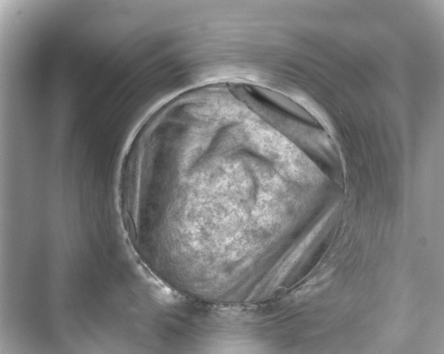 X0000075821104200609291404