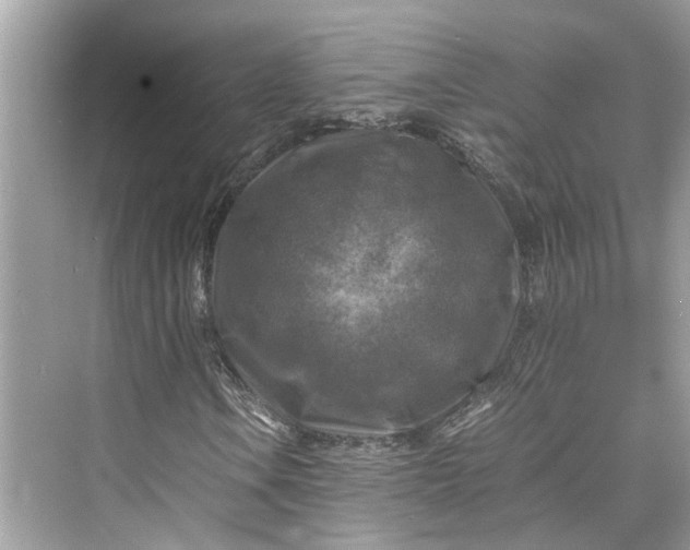 X0000075821106200609291403