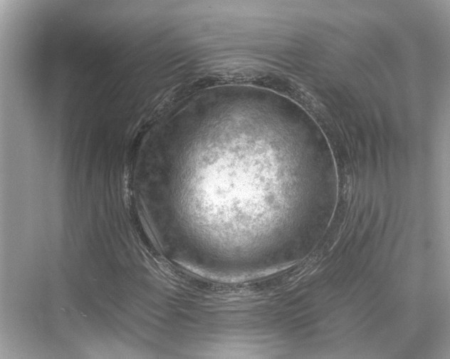 X0000075821108200609291403