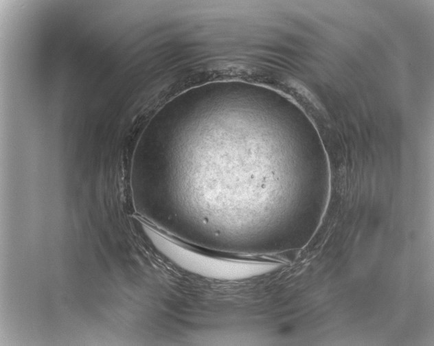 X0000075821111200609291404