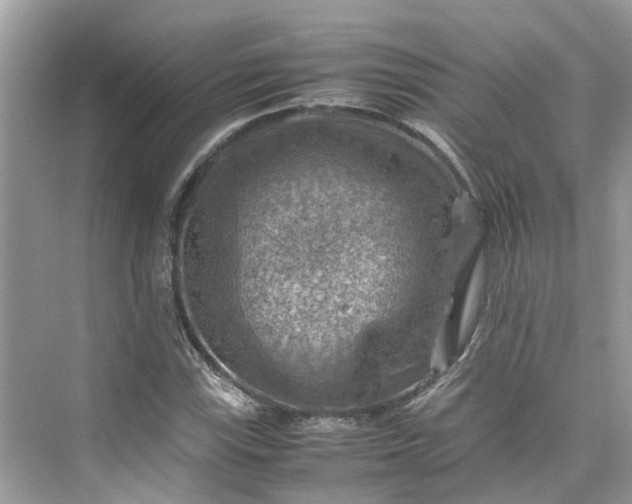 X0000075821115200609291404