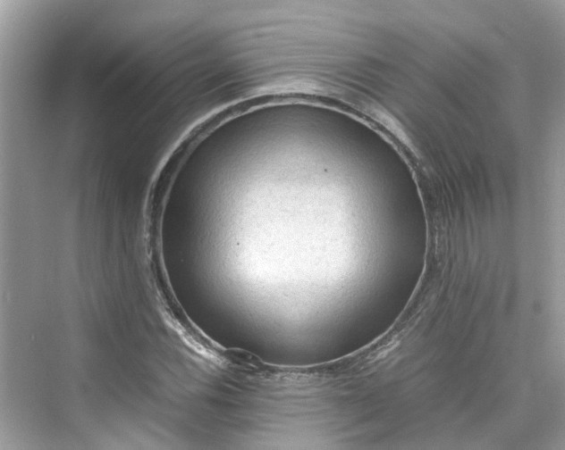 X0000075821116200609291404