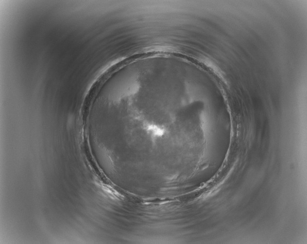 X0000075821117200609291404