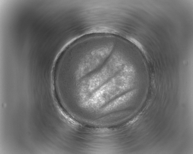 X0000075821120200609291404