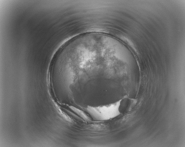 X0000075821125200609291404