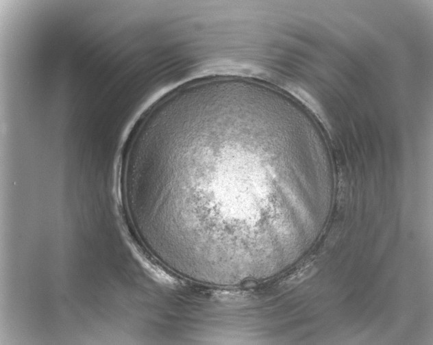 X0000075821128200609291404