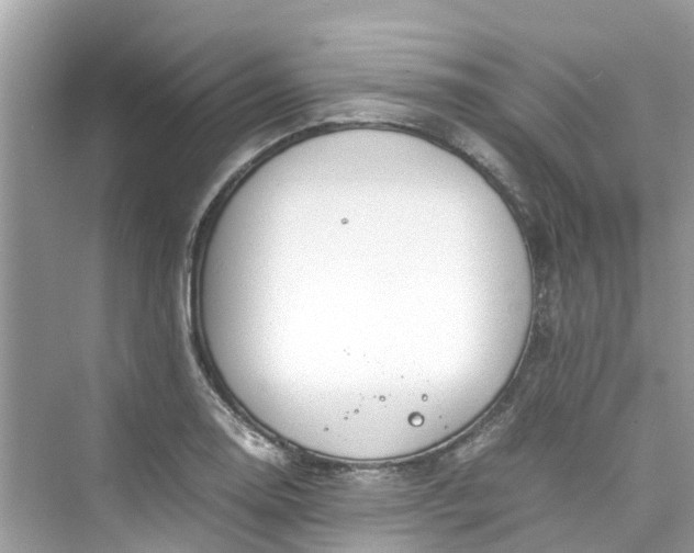 X0000075821130200609291404