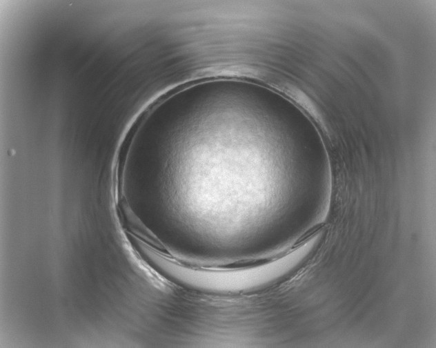 X0000075821132200609291404