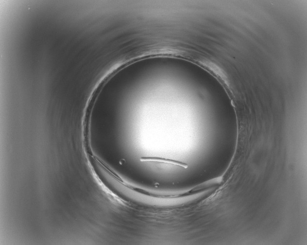 X0000075821135200609291404