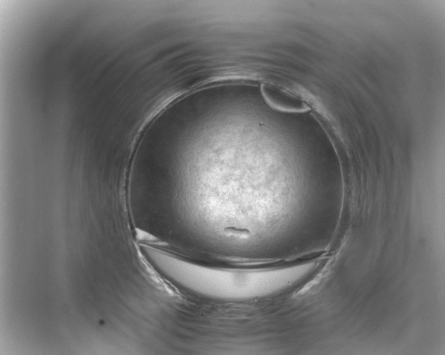 X0000075821137200609291404