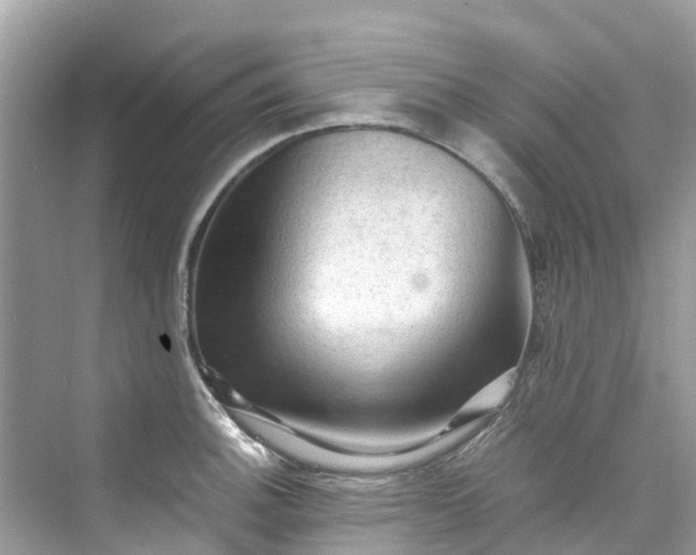 X0000075821140200609291404