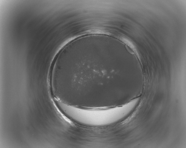 X0000075821141200609291404