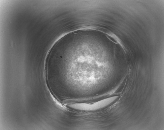 X0000075821143200609291404