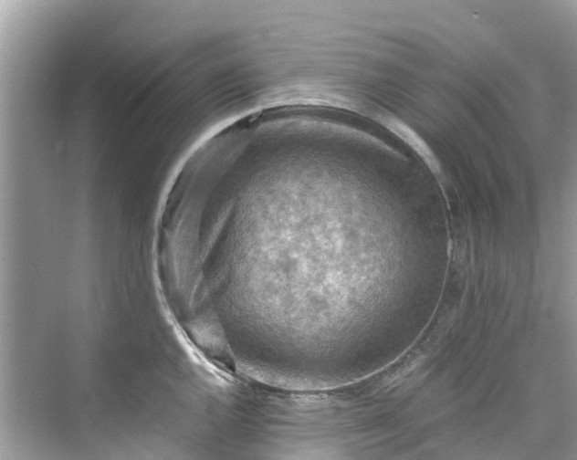 X0000075821144200609291404