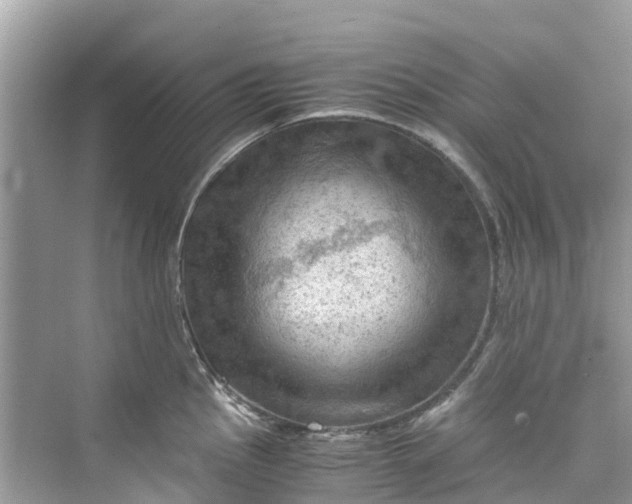 X0000075821145200609291404