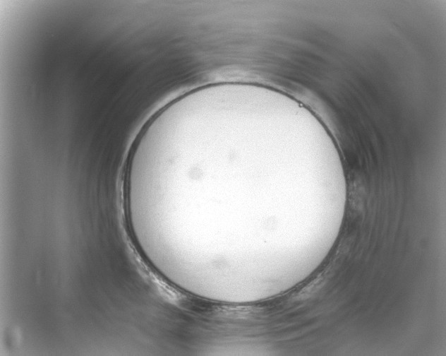 X0000075821150200609291404