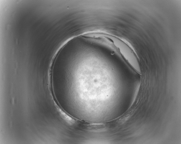 X0000075821151200609291404