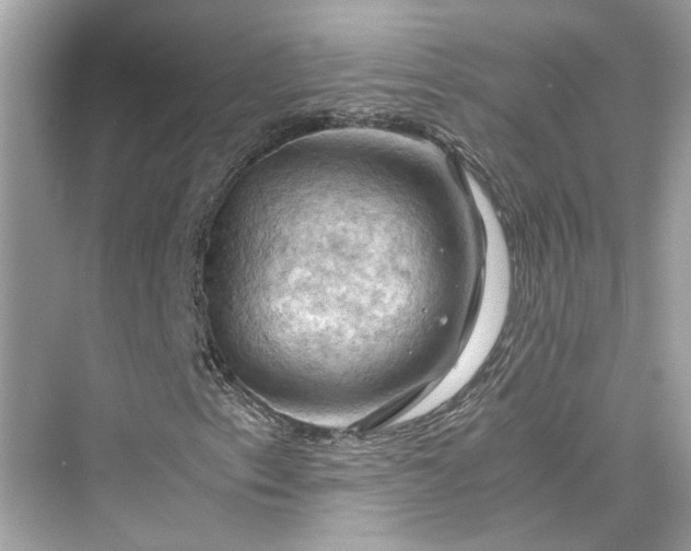 X0000075821153200609291403