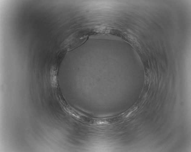 X0000075821154200609291403