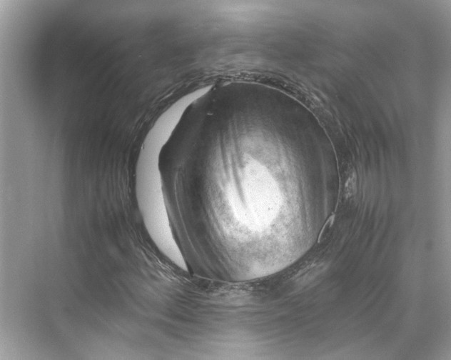 X0000075821156200609291403