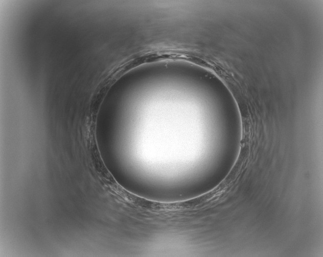 X0000075821157200609291403