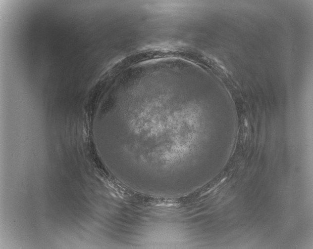 X0000075821158200609291403