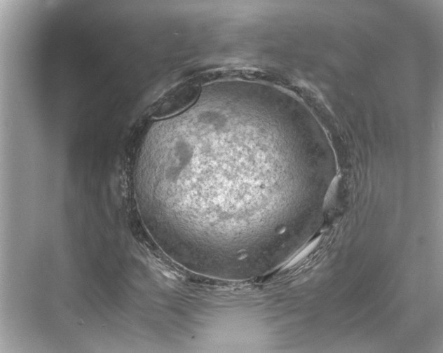 X0000075821159200609291403