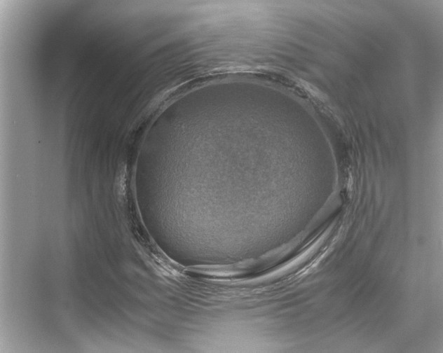 X0000075821161200609291403