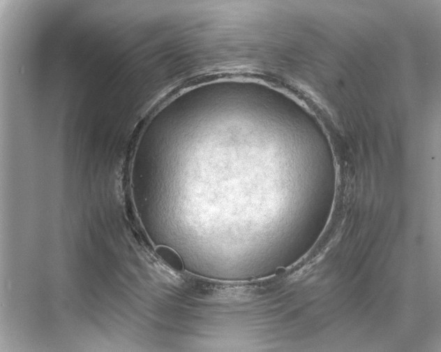 X0000075821162200609291403