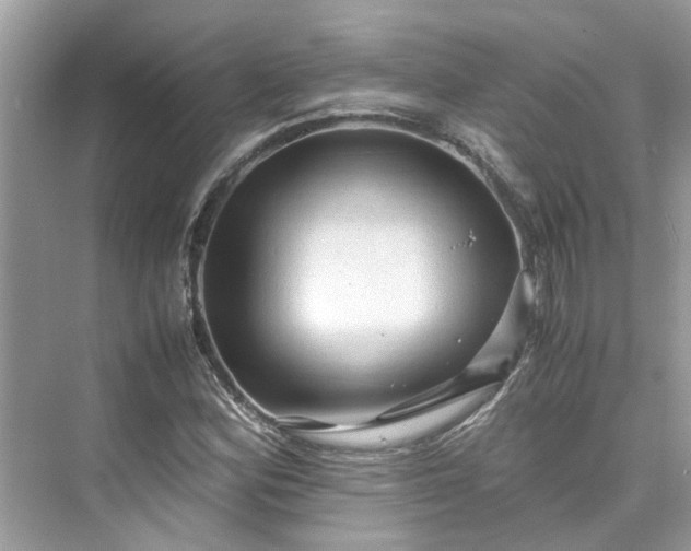 X0000075821164200609291403