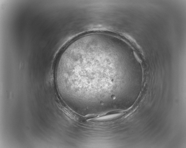 X0000075821167200609291403